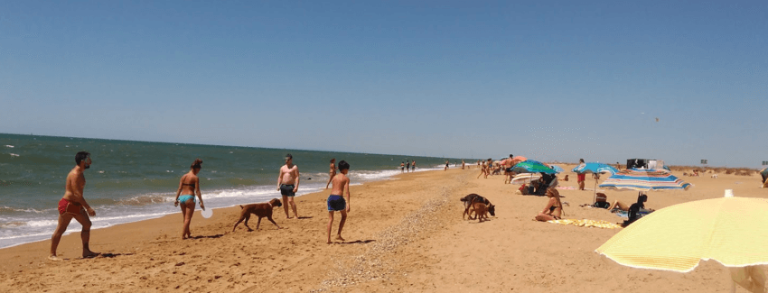 playa para perros el espigon huelva