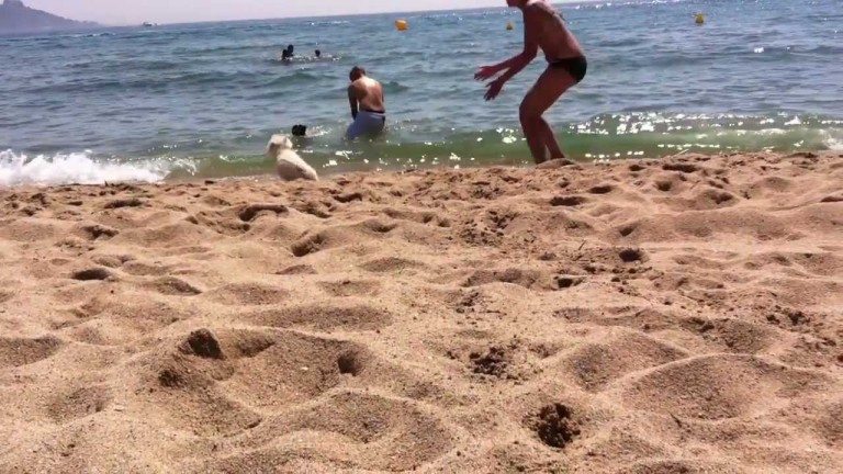 Playa La Rubina para perros en Girona