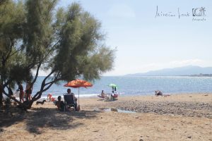 playa canina de Cambrils