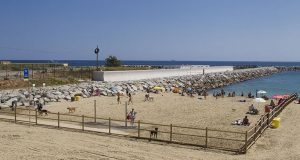 Playa de Llevant para perros en Barcelona