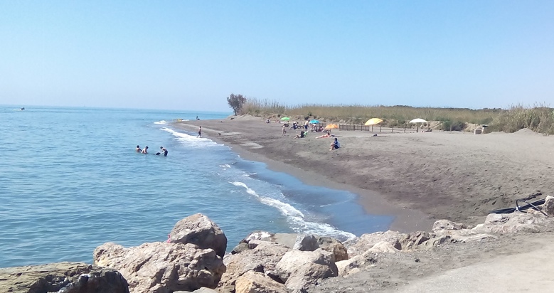 Playa para perros de Torre del mar, en Málaga