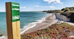 Playa para perros en Alcanar