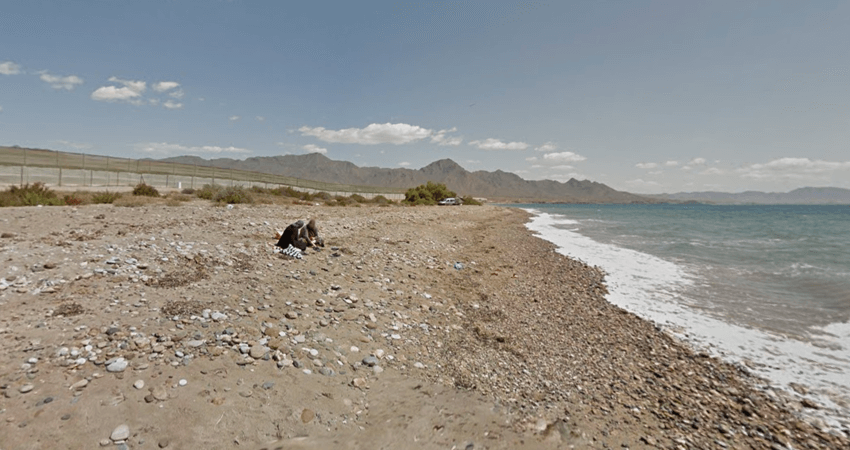 Discrepancia Aditivo sátira Las Cobaticas - Playa para Perros en Mazarrón - PlayasparaPerros.Com