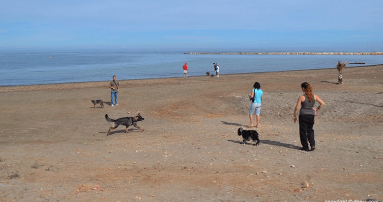 Playa para Perros Escollera Norte en Denia