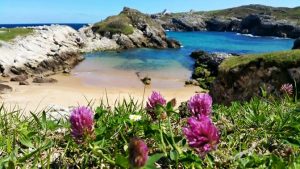 Arenal del Jortín en Soto de la Marina