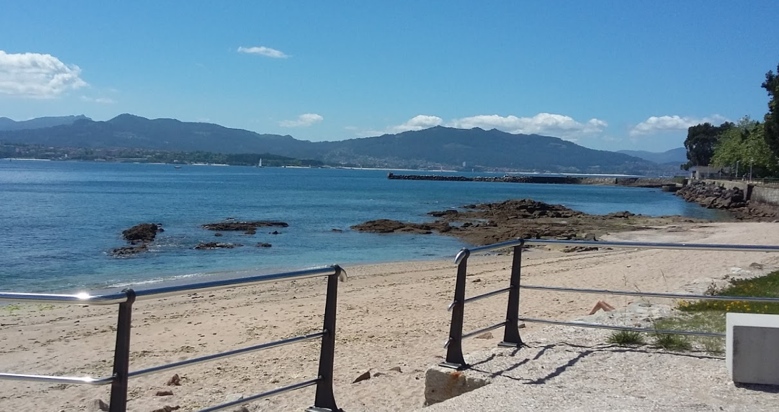 Colibrí Ingresos Viaje Playas para perros en Pontevedra archivos - PlayasparaPerros.Com