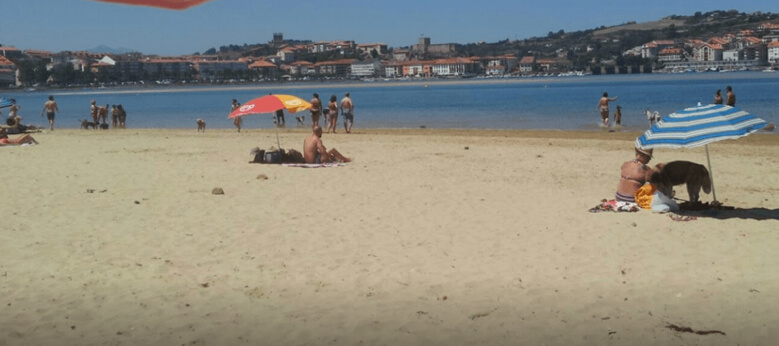La Maza playa para perros en Cantabria