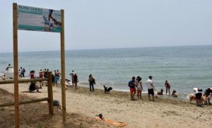 Playa para Perros El Pinillo en Marbella