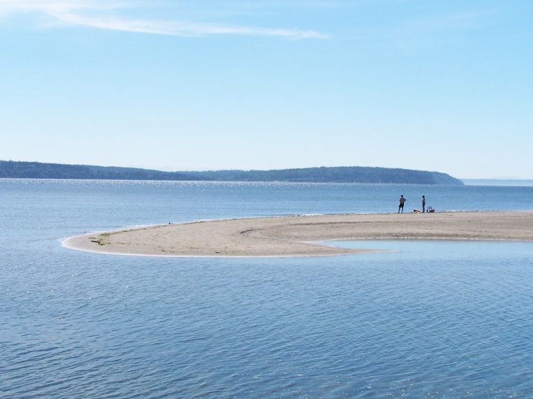 Playa para perros Double Bluff off leash, WA