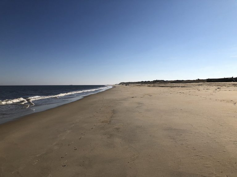 Playa para perros Cape Henlopen State Park, DE